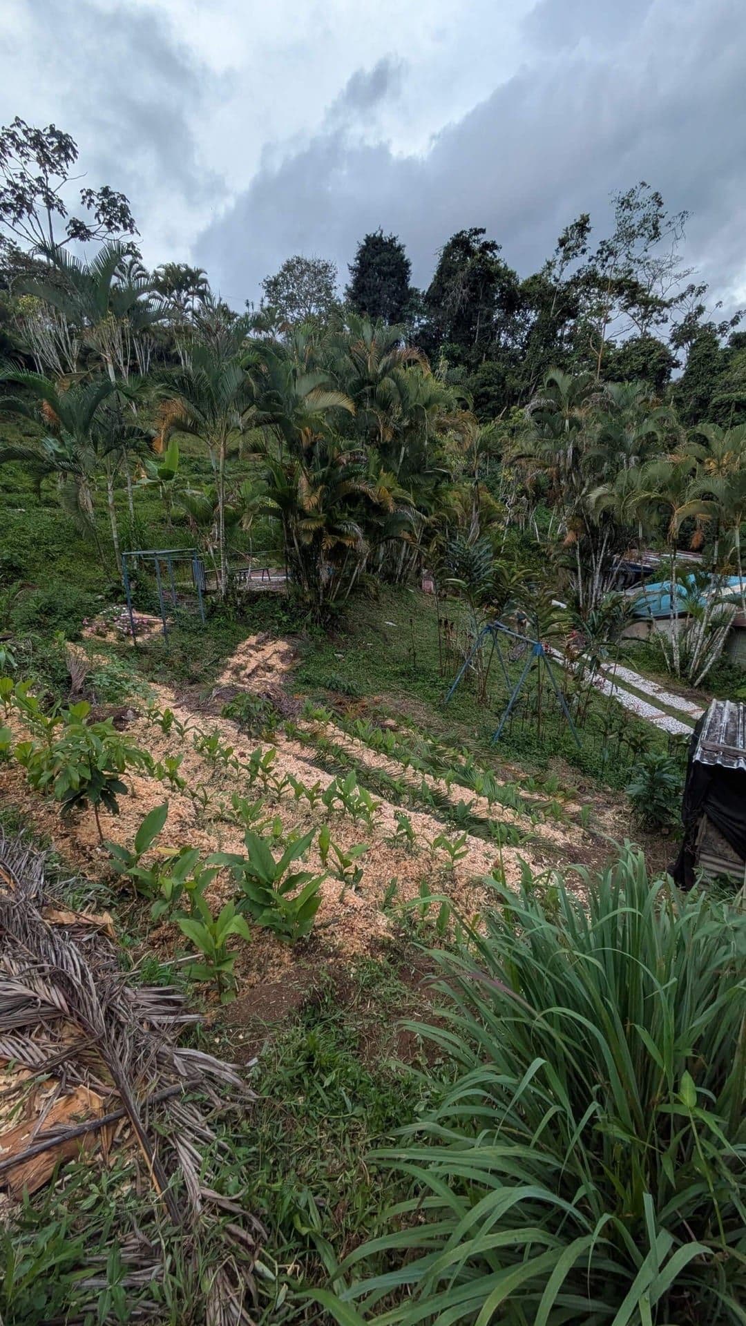 Land with mountain views in Costa Rica